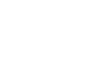 cyberdata